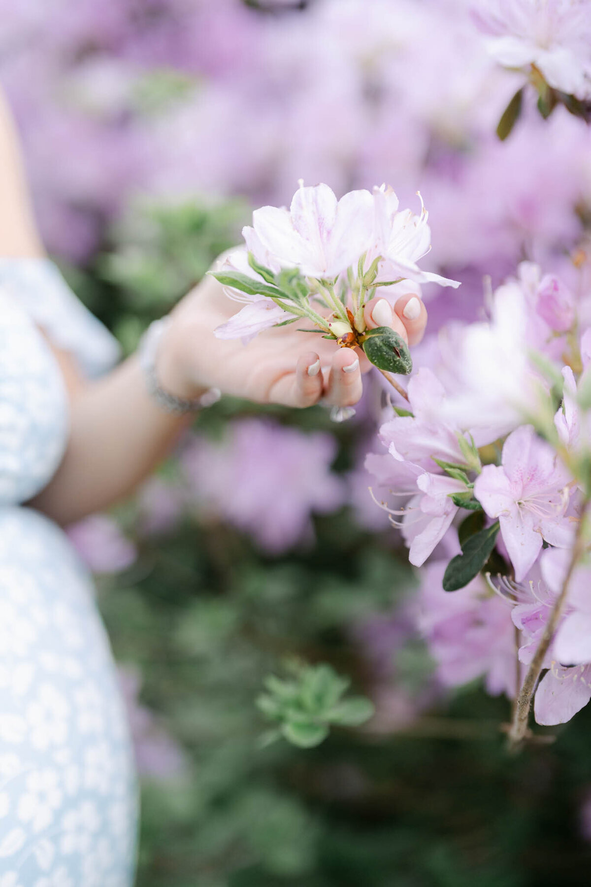 Philadelphia-Maternity-Photographer-831
