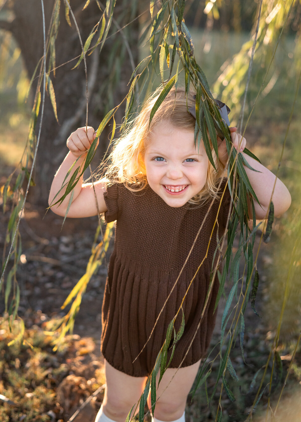 Willow-19