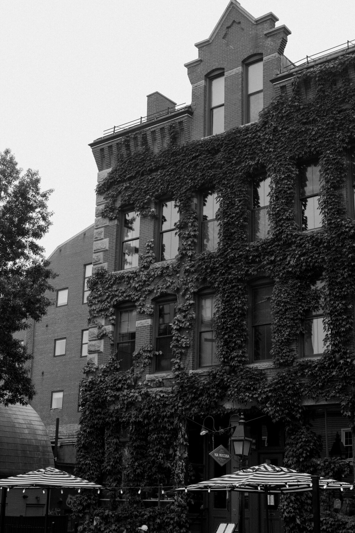 Claire & Ari Old Port Engagement B&W 2023 - Jessica LaFleur Photography-004