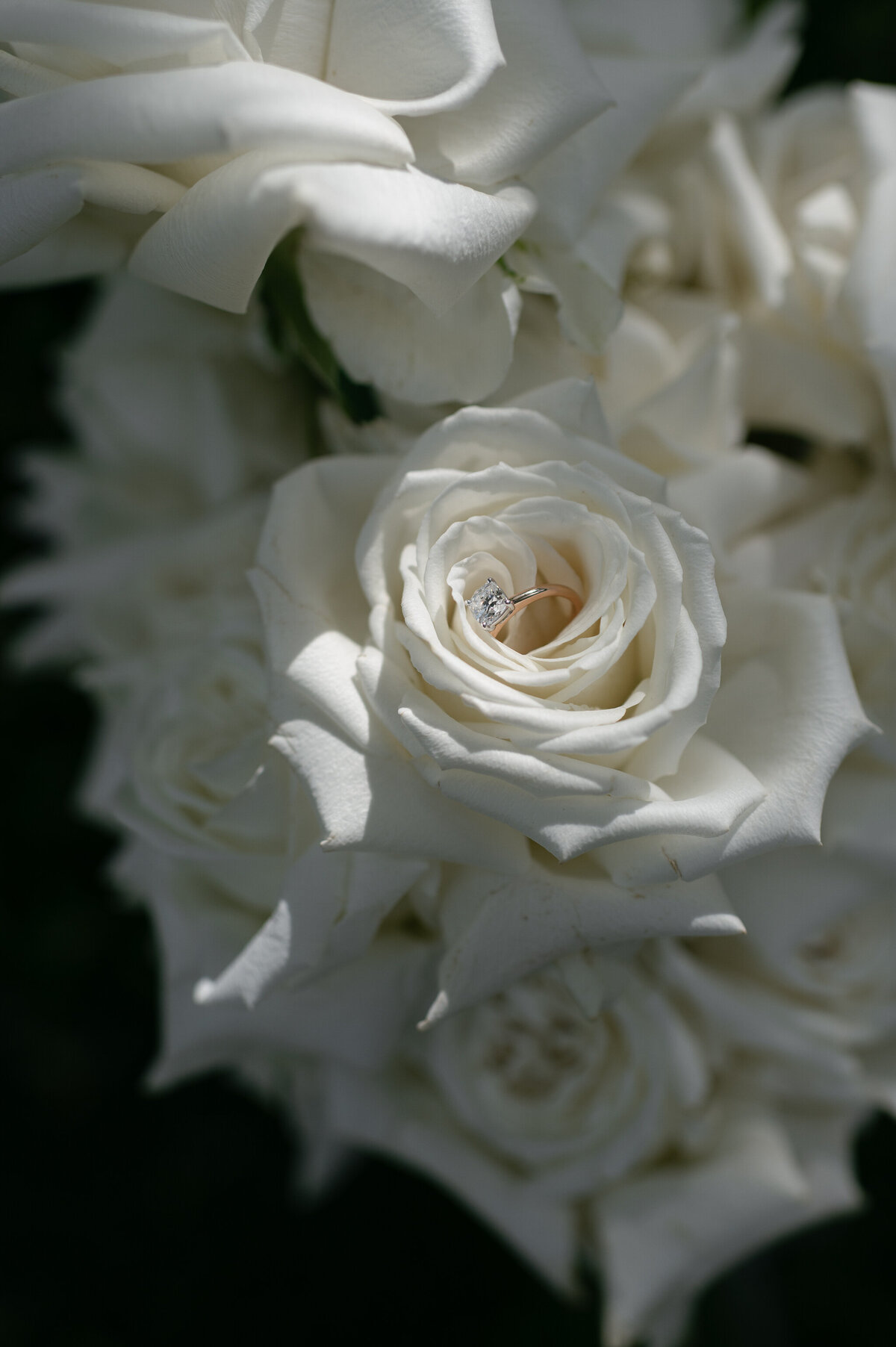 Leah Cruikshank Photography — photo 16 of 18