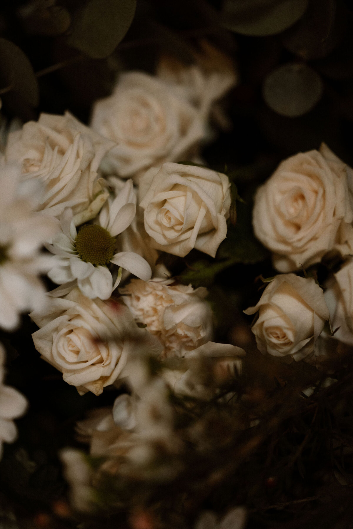 Maudvandenheuvelphotography-brochure2024-2025-23