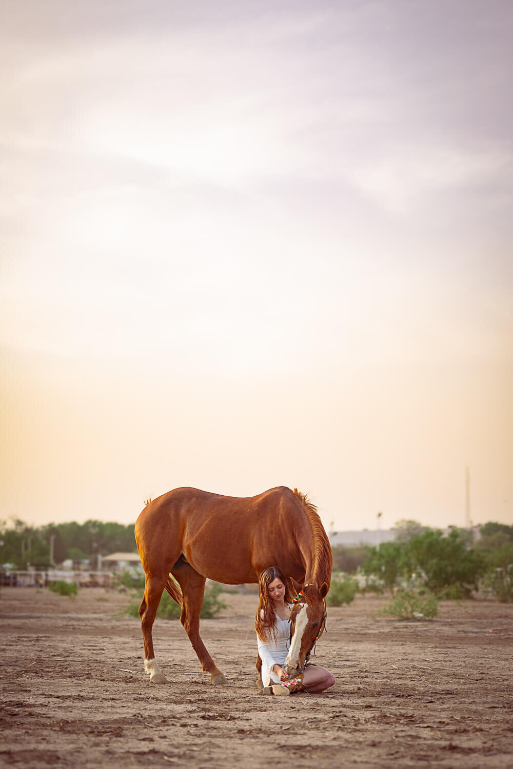 El-Paso-Texas-Horse-Photographer-110