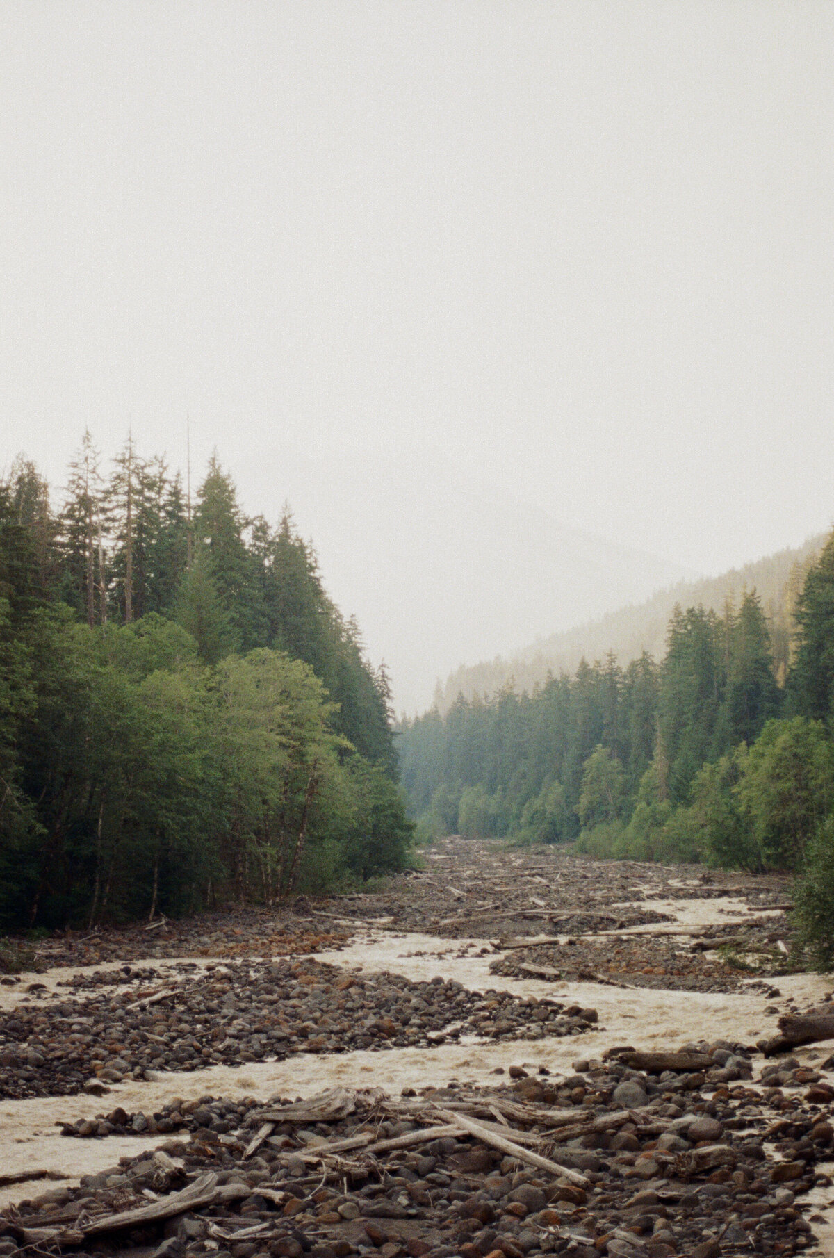 Mount Rainier Couples Photographer