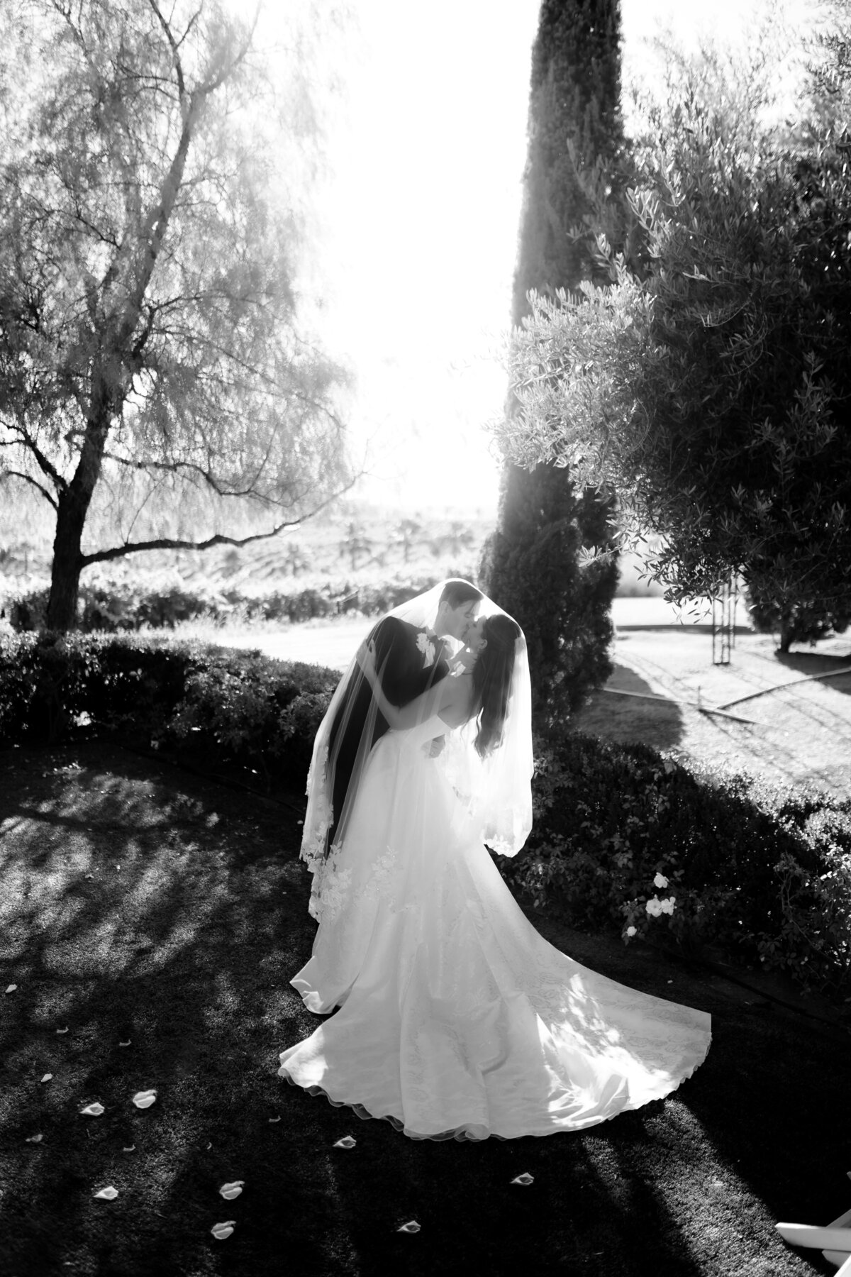 Falkner Winery Wedding Photos 117