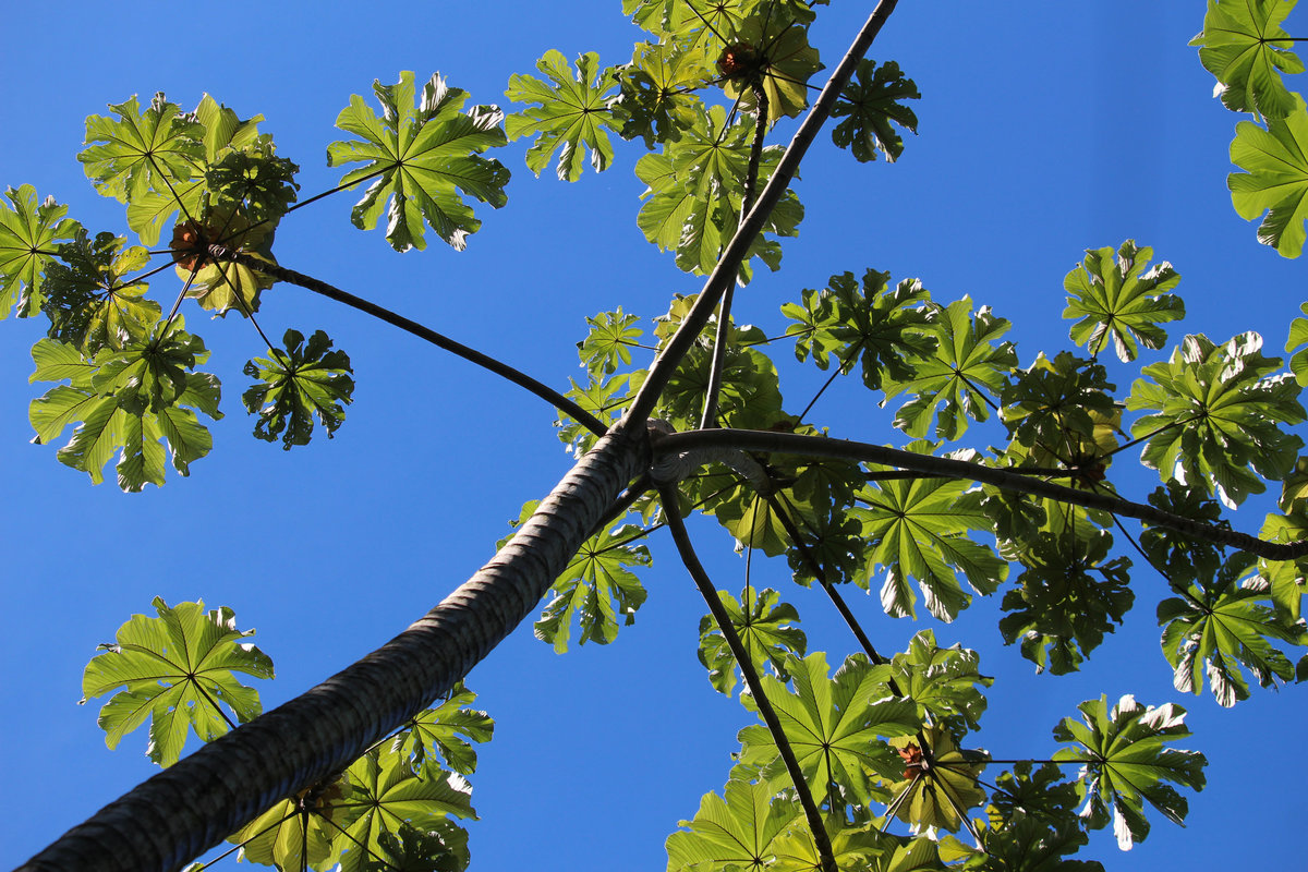 Wade_Muir_Photography_Places-54