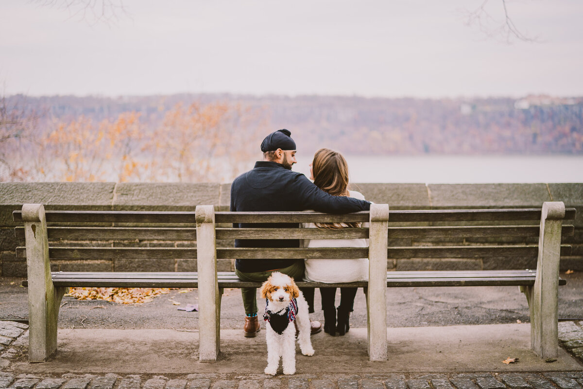 A couple sharing a moment seated on a bench with the dog looking at the camera