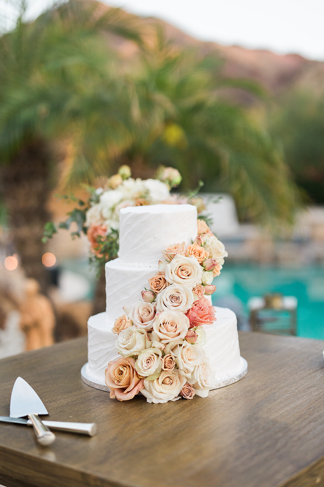 Scottsdale Wedding - Tara Nichole Photo - 2023 - Kenna and Harrison-361