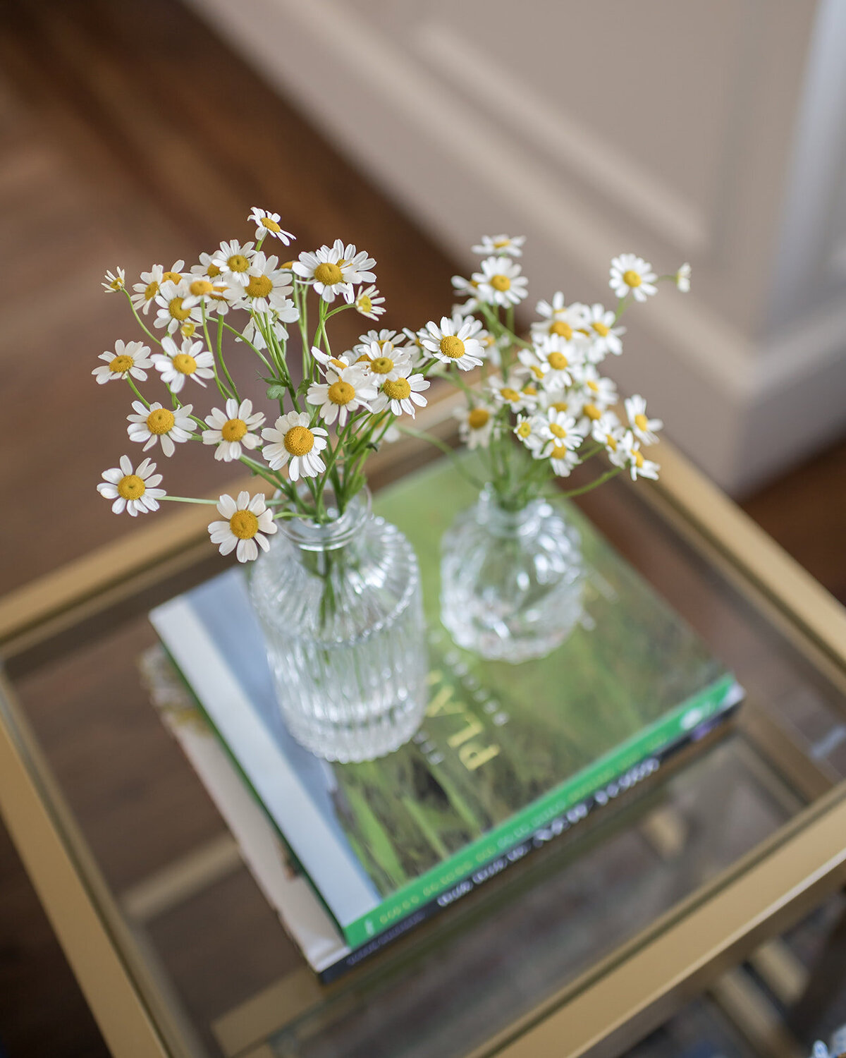 melinda chesson interiors boston daisy flowers in glass vases