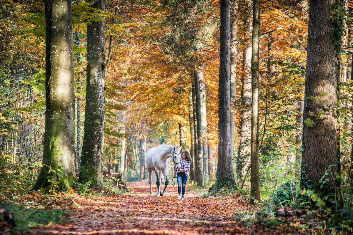 Schweiz-Tier-Fotograf-Pet-Photographer-7-Musto-Studios