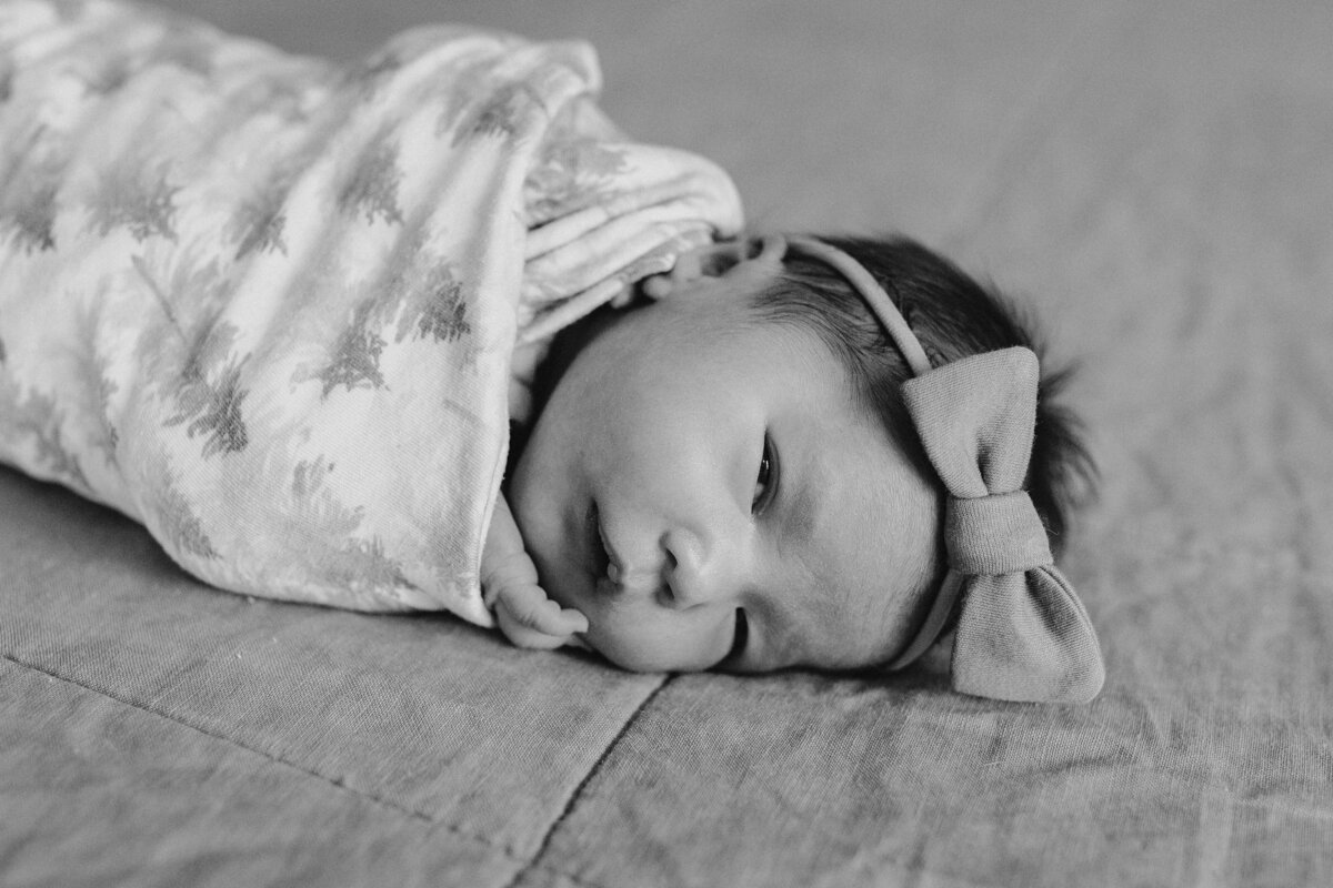 newborn-photos-6