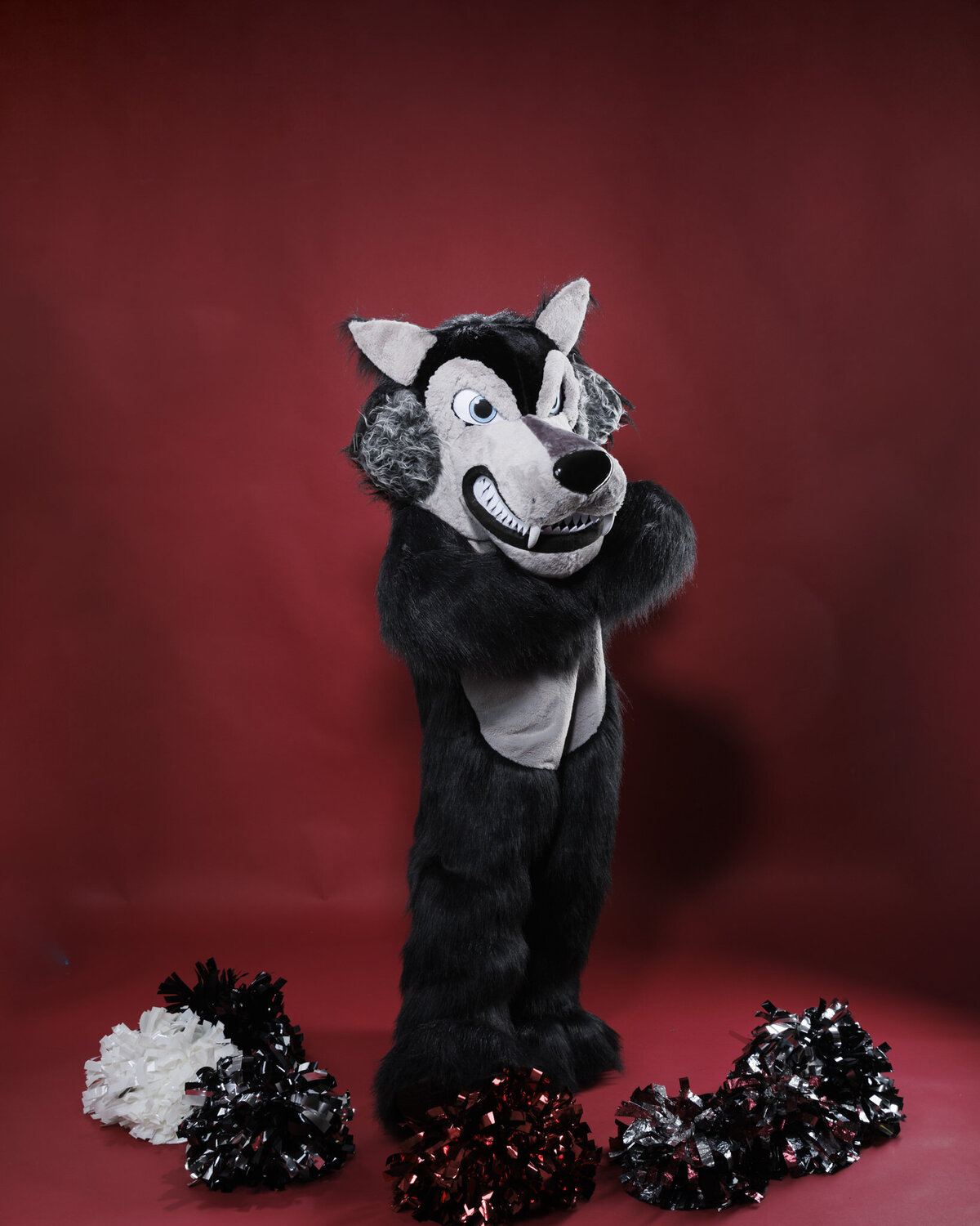 Mascot-Wolf