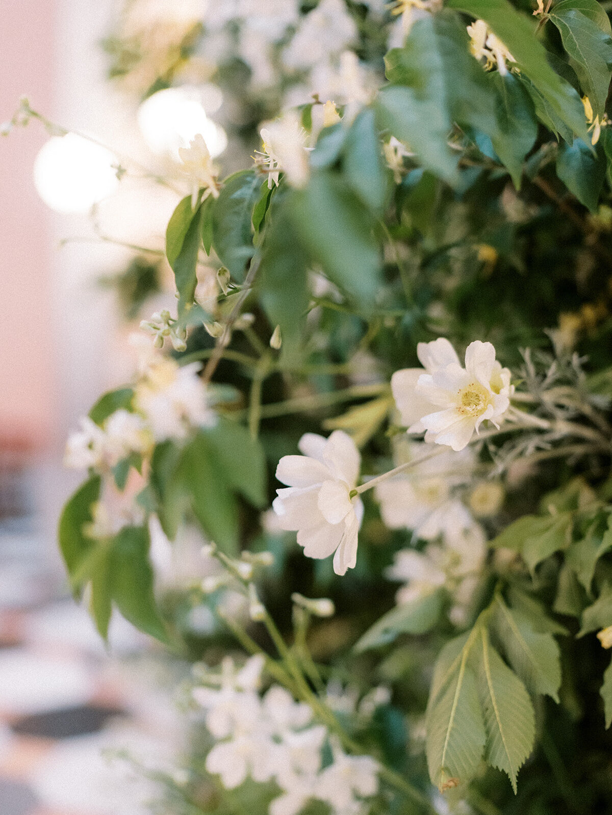 Rooted Together Events_Annie Trammel Photography-49