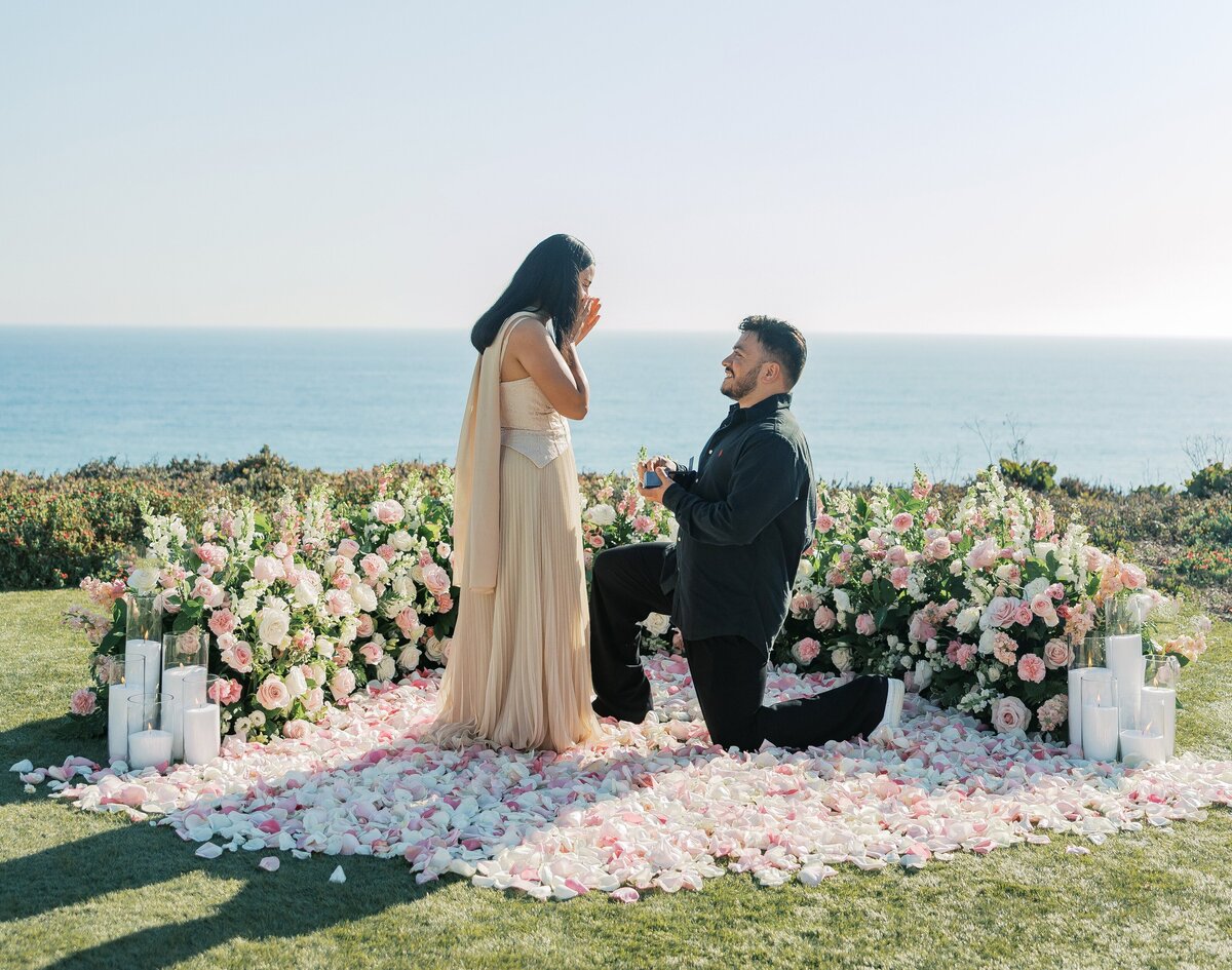 Laguna Beach Proposal 
