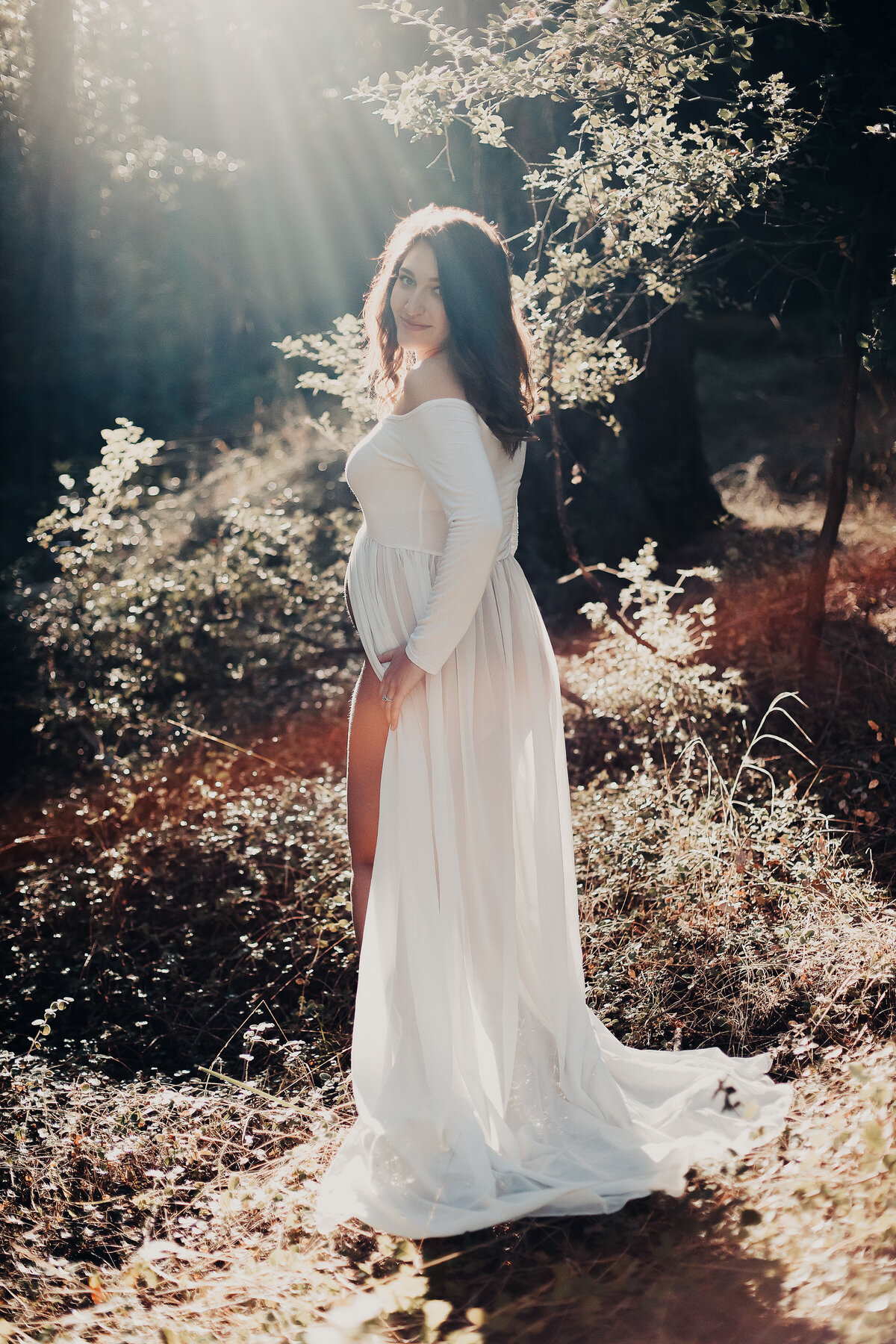 maernity in forest northern california maternity photographer