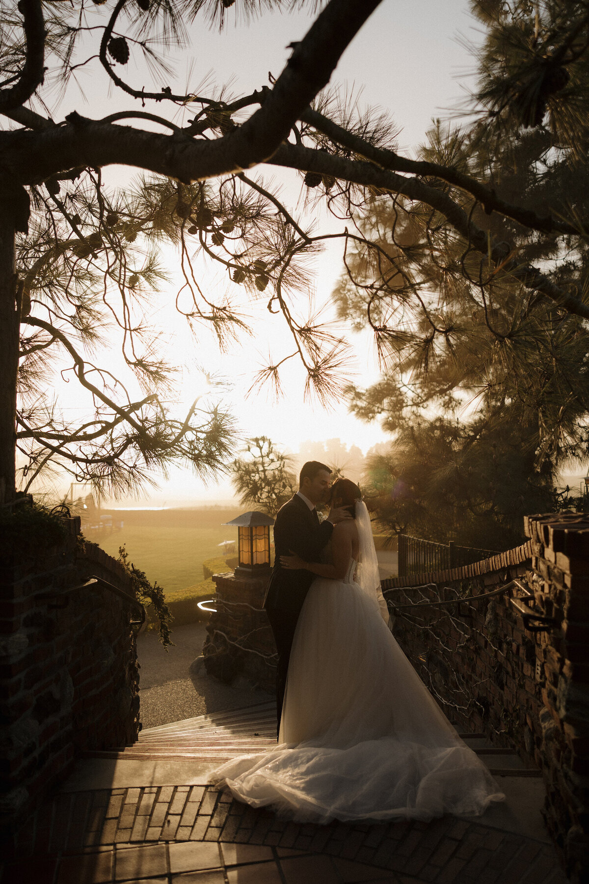 Lodge at Torrey Pines Wedding 009