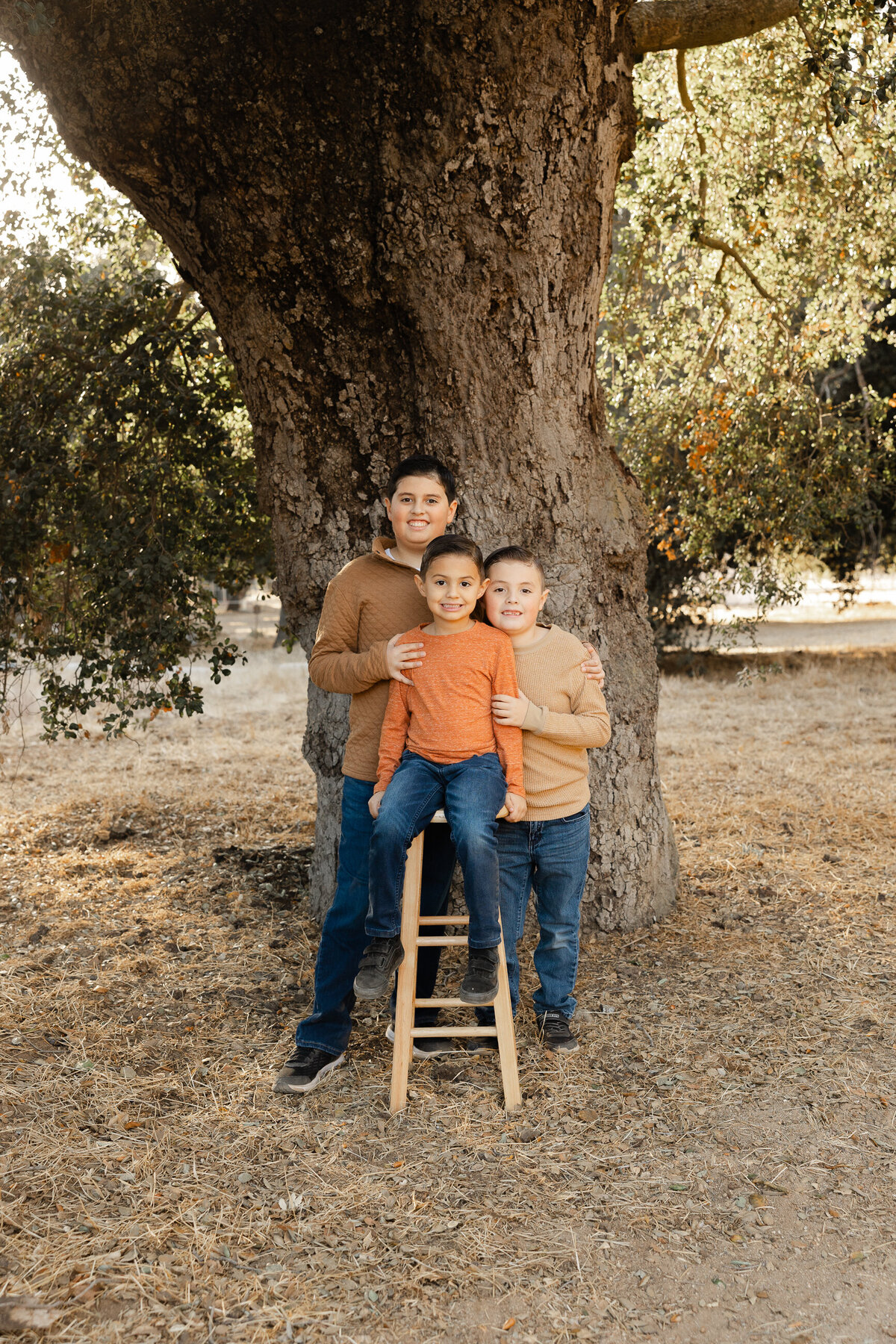 Two boys sitting on small wooden chair under a tree, parents standing behind them. Photographed by Yucaipa family photographer Kaitlyn Dawn Photography