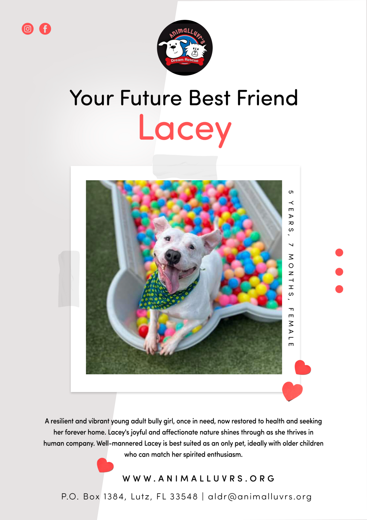 Adoption Signs for Animalluver's Dream Rescue