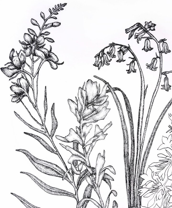 CCC_Botanical sleeve_detail