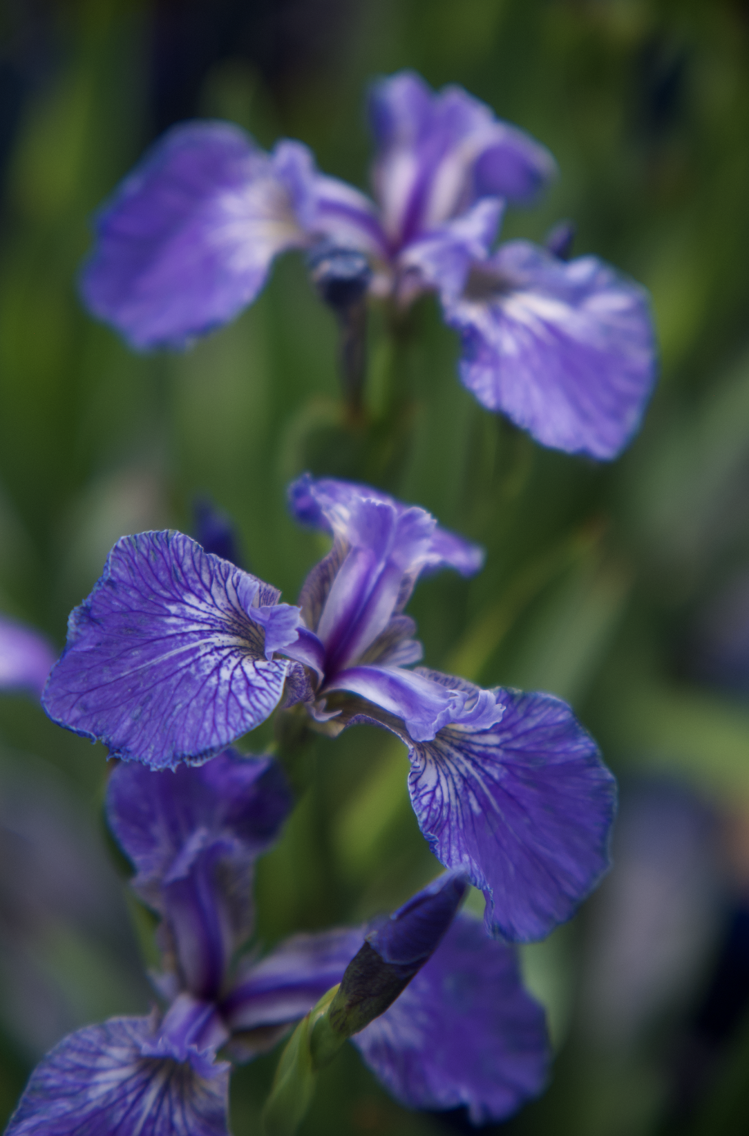 Screenshot 2025-07-21 at 12.27.30 AM