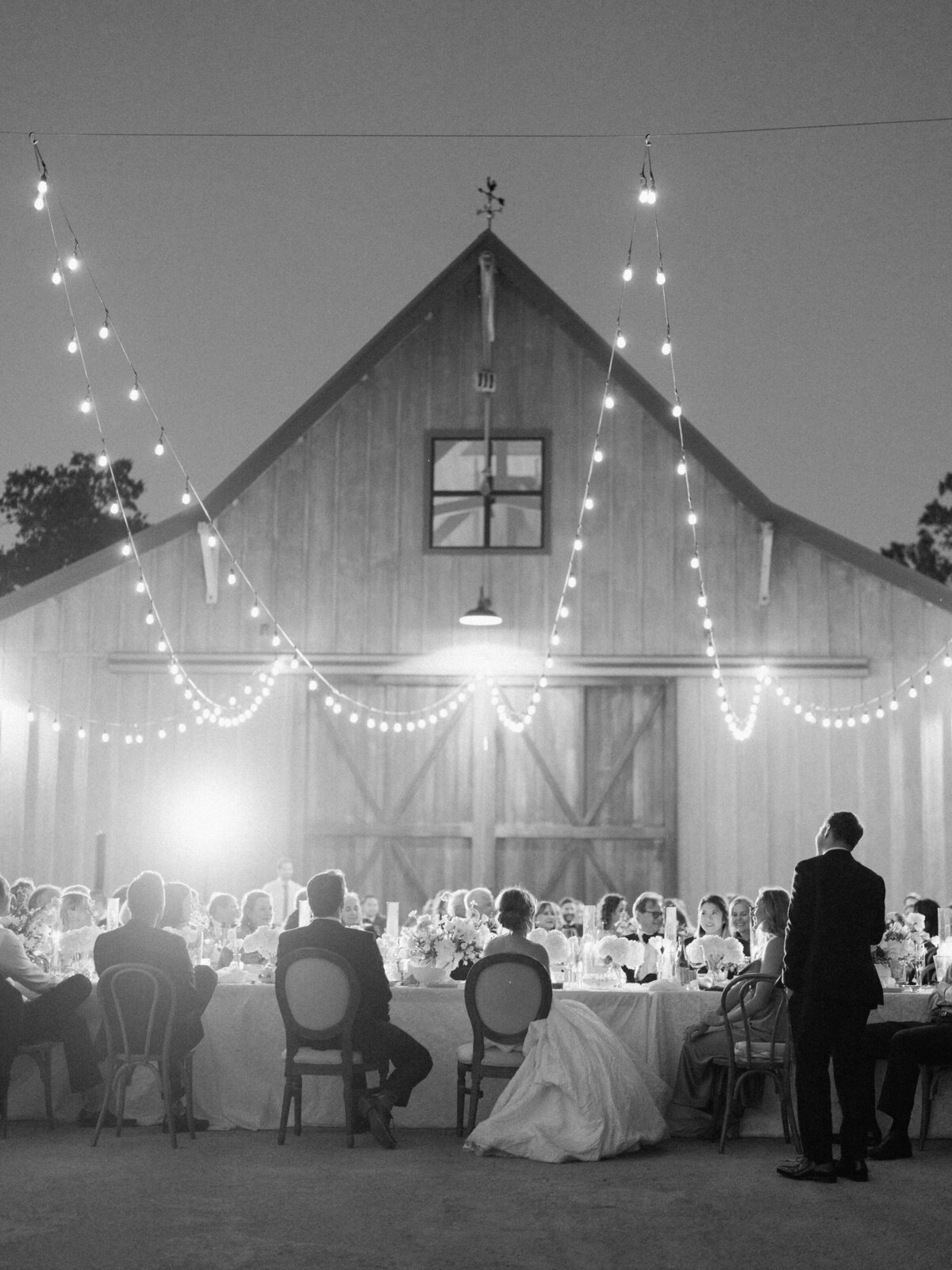 Lauren + Andrew Wedding - Reception -259