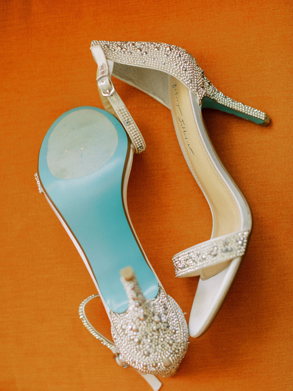 5DanadaHouseWheatonILweddingphotographerpamcooley1V7A8543