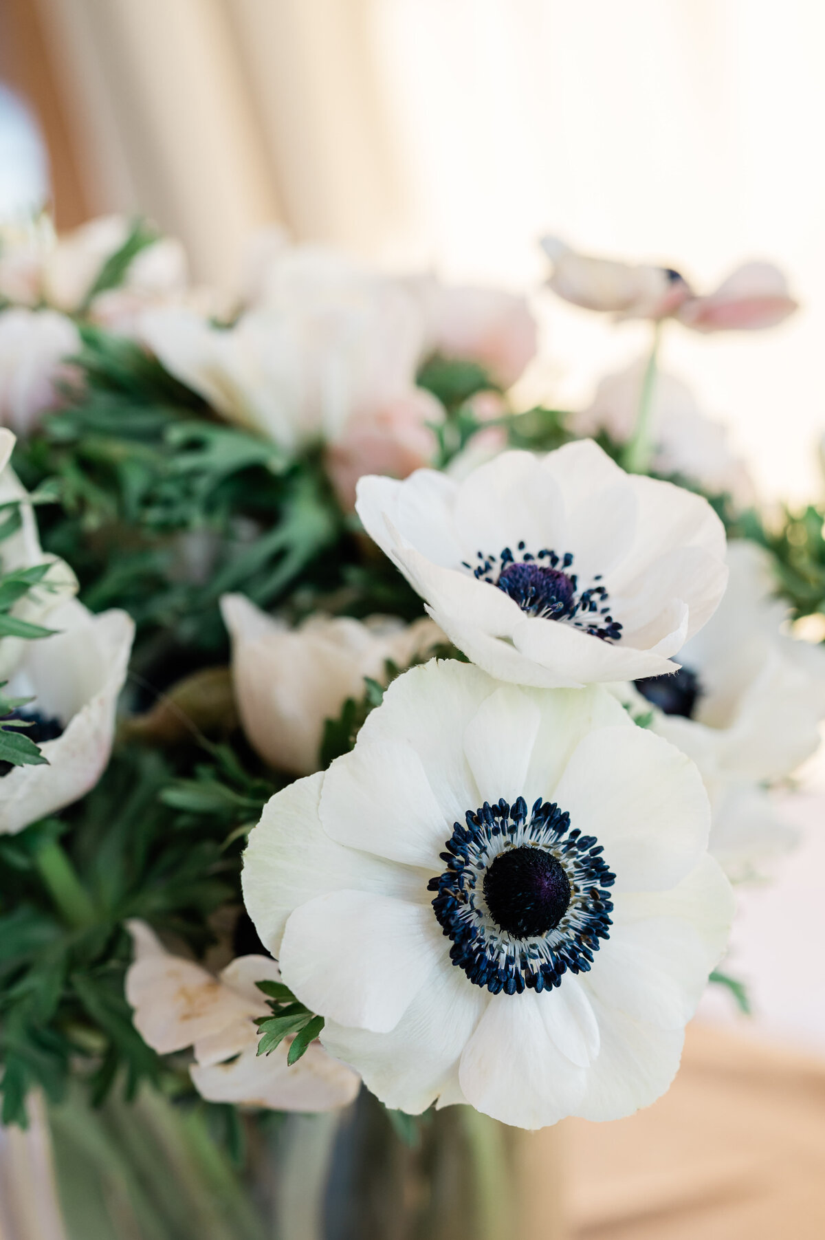 AmandaJonesPhoto1-5882
