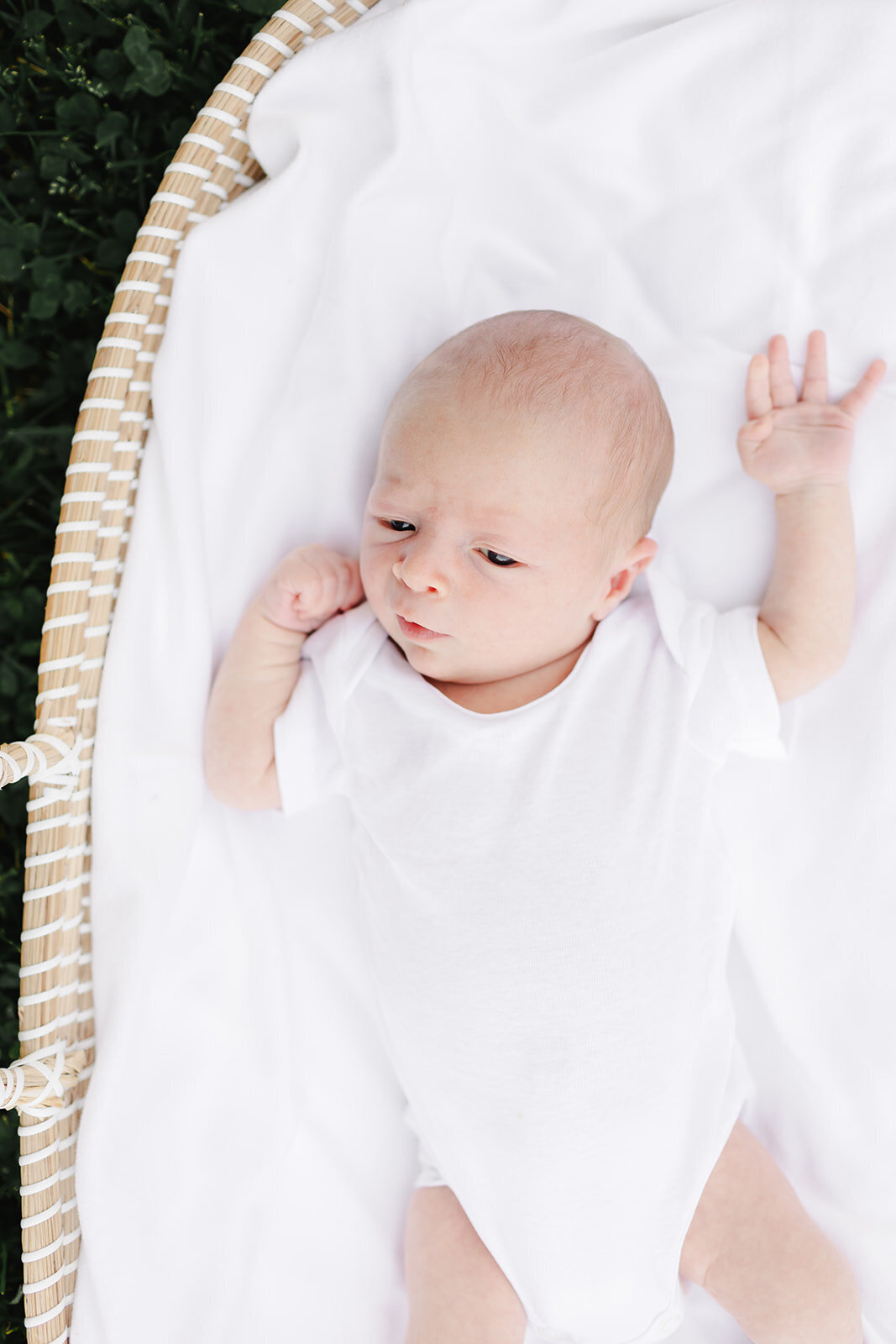 Baby Bentley_627_websize