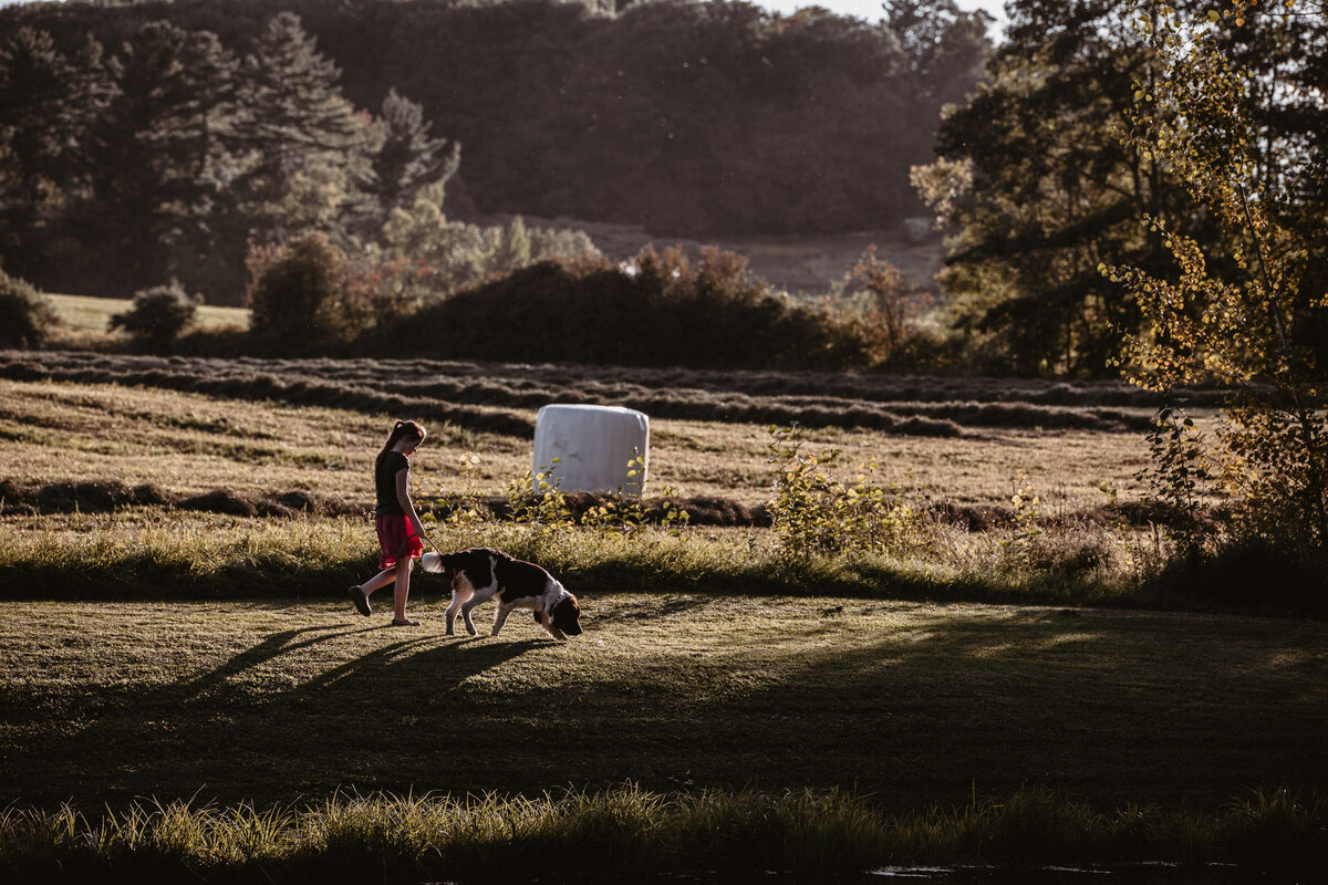 girl walking dog with long shadows near a freshly hayed field