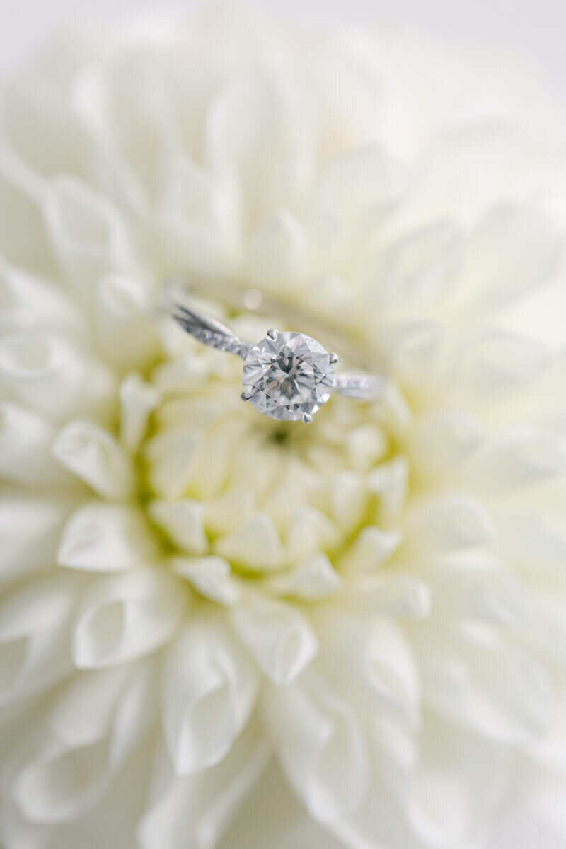 Crystal Tea Room Wedding_Sarah Canning Photography_0007