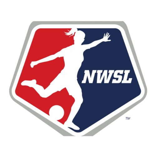 Black Arrow Icon Car Racing Team Logo (2)