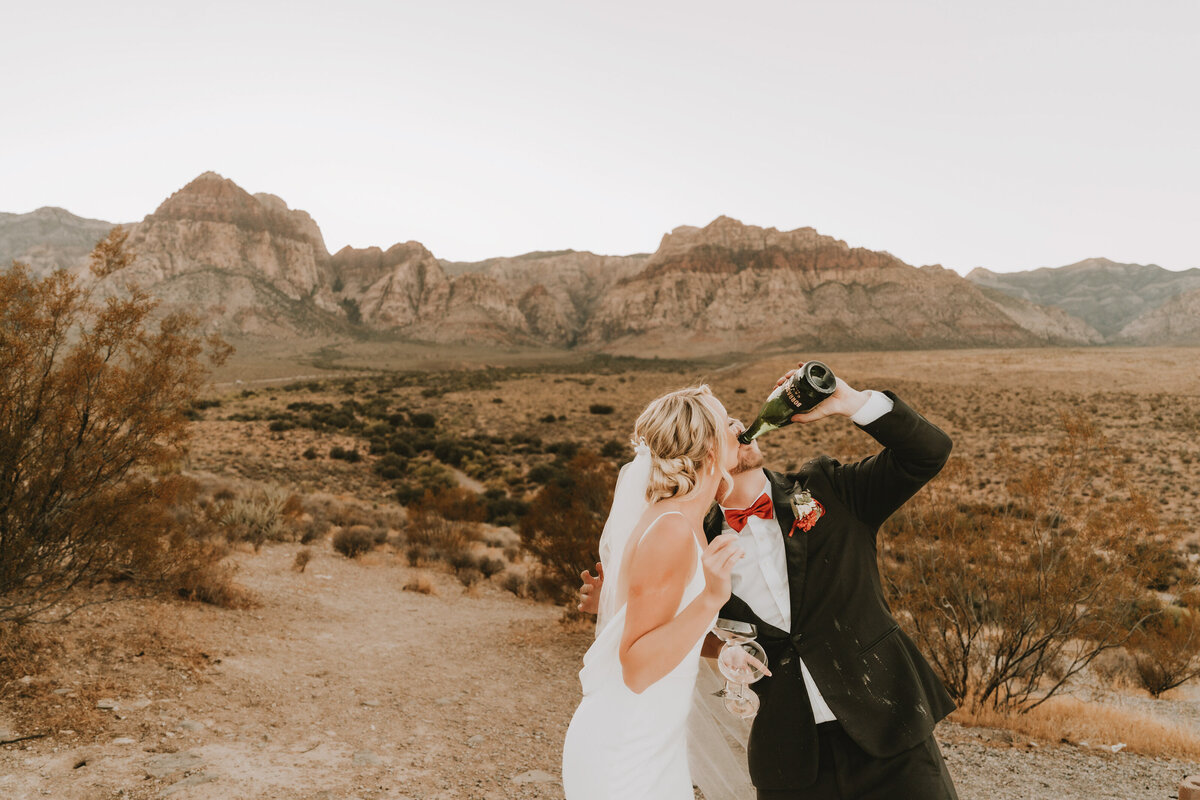 destination micro wedding photographer184