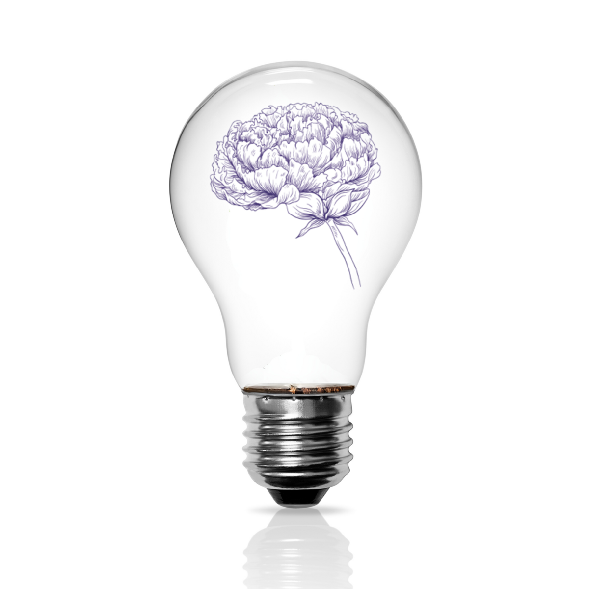 A light bulb with a thriving peony inside, symbolising subconscious healing, growth and moments of insight through brainspotting therapy with hypnotherapy.