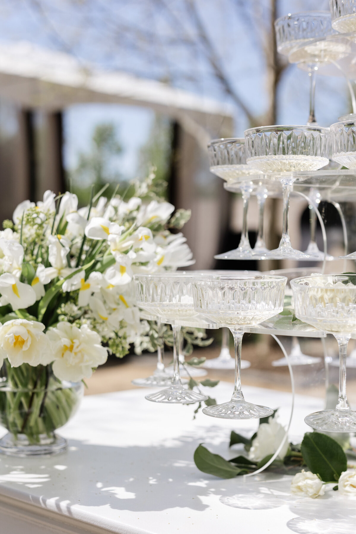 timlesscolumbusweddingphotography-2