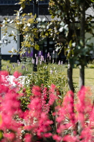 14043829-42FC-4819-ABBB-3F18F64A5324_4_5005_c