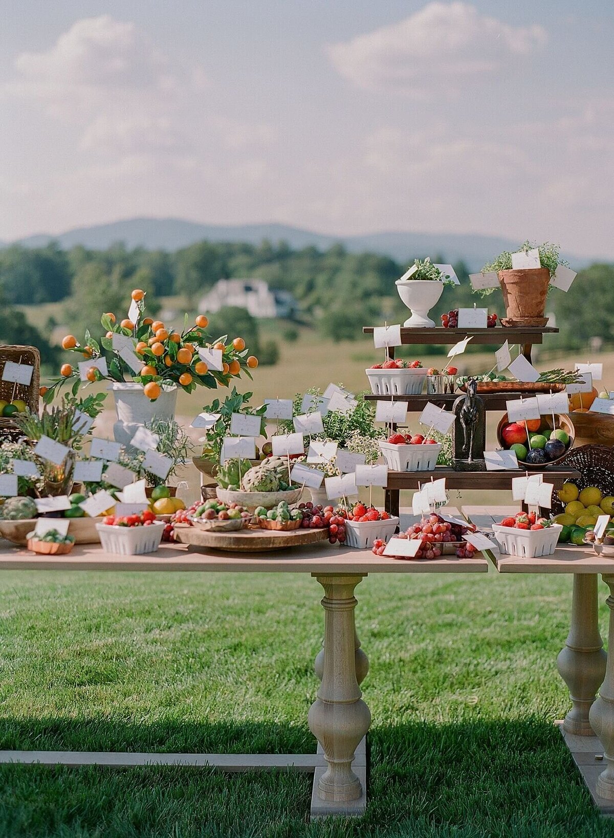luxury_virginia_wedding_planner_best_virginia_wedding_planner_Richmond-wedding_planner_charlottesville_wedding_planner_eastern_shore_event_designer_charleston_wedding_planner_1408