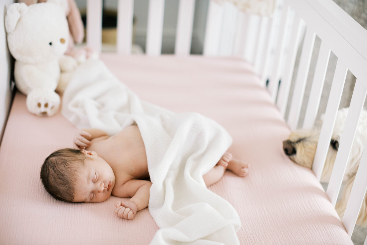 winston-salem-newborn-photographer19
