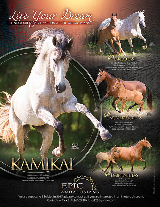 EpicAndalusians-Summer2016-8.5x11Flyer-RGB-LowRes