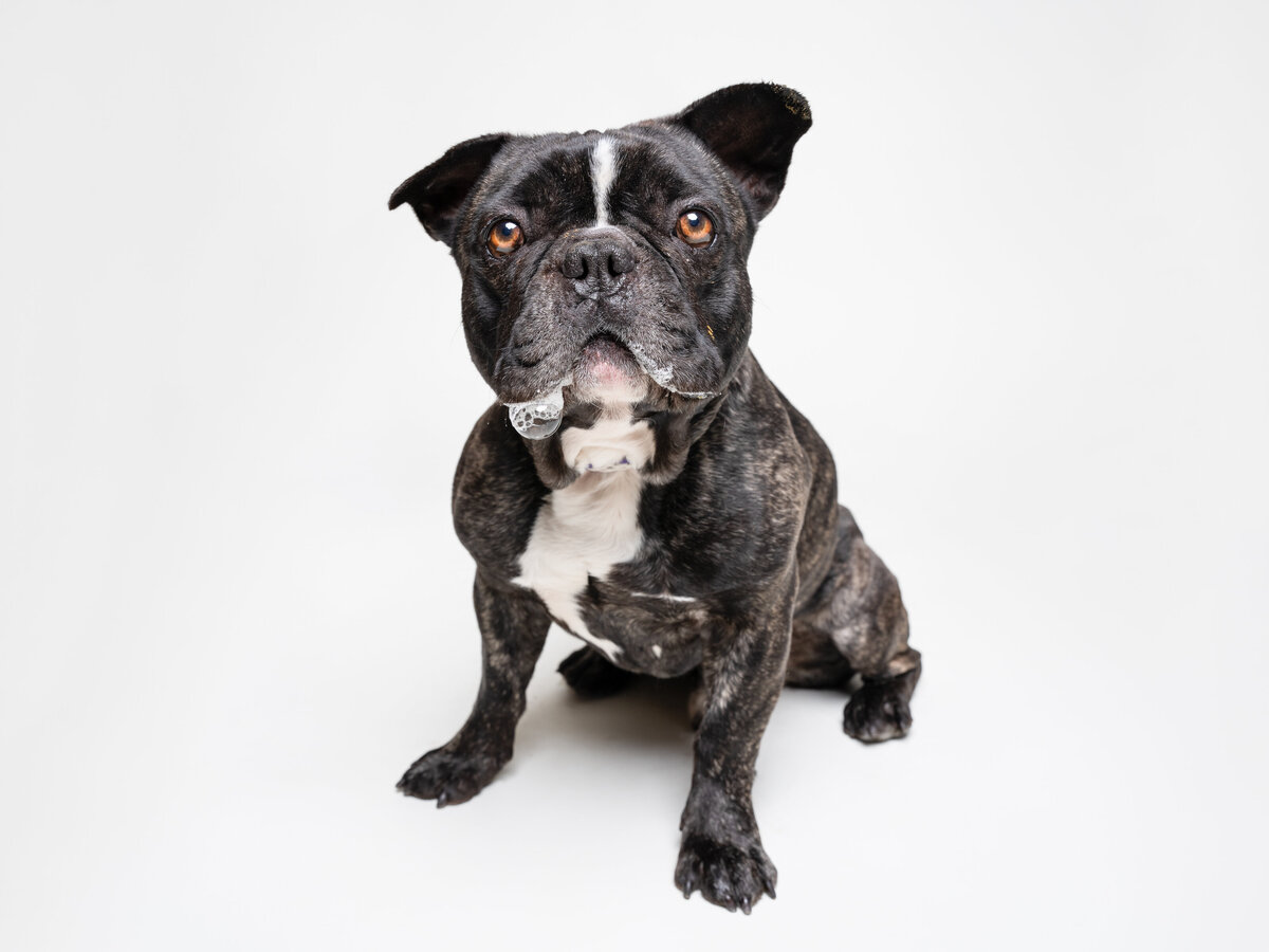 Website3500-DSC00194