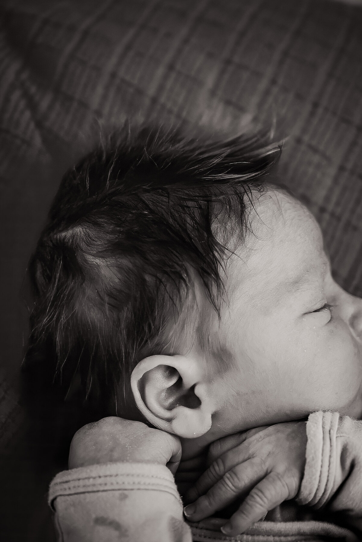 heintz-newborn-bismarck-studio-10