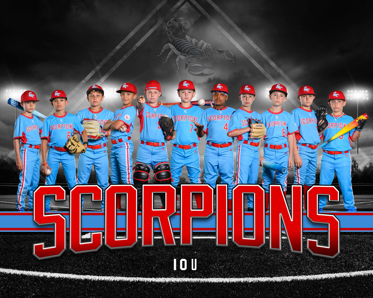 Dirt Dawgs Baseball Team Banner