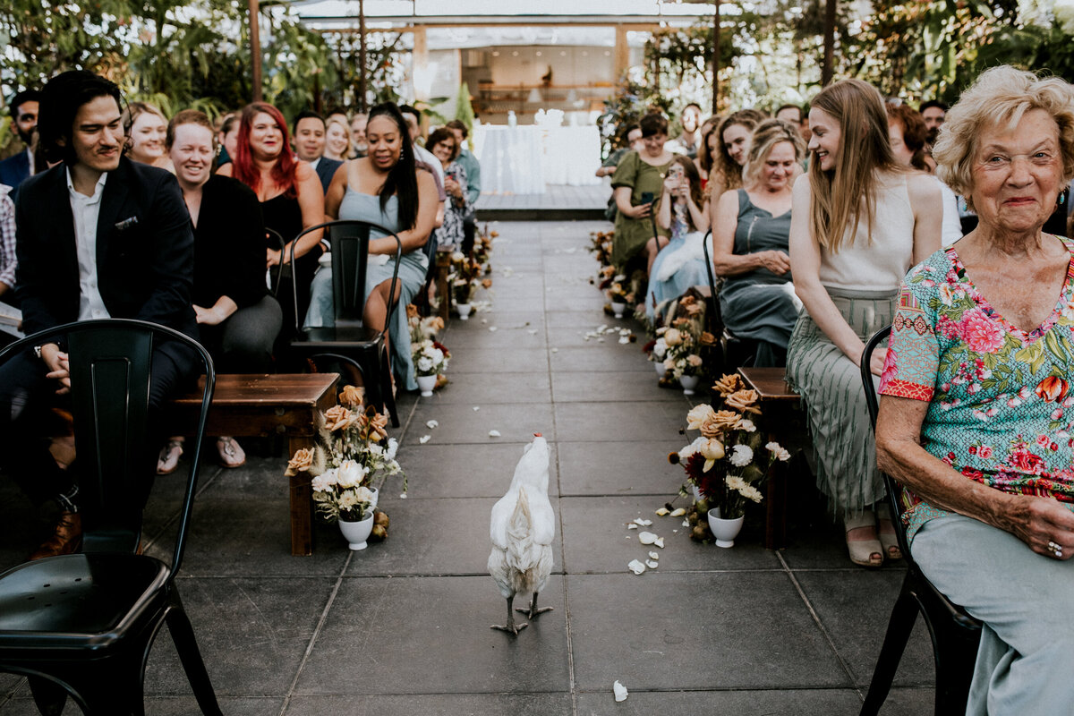 Hazelwood-Photo-Portland-wedding-photographer238