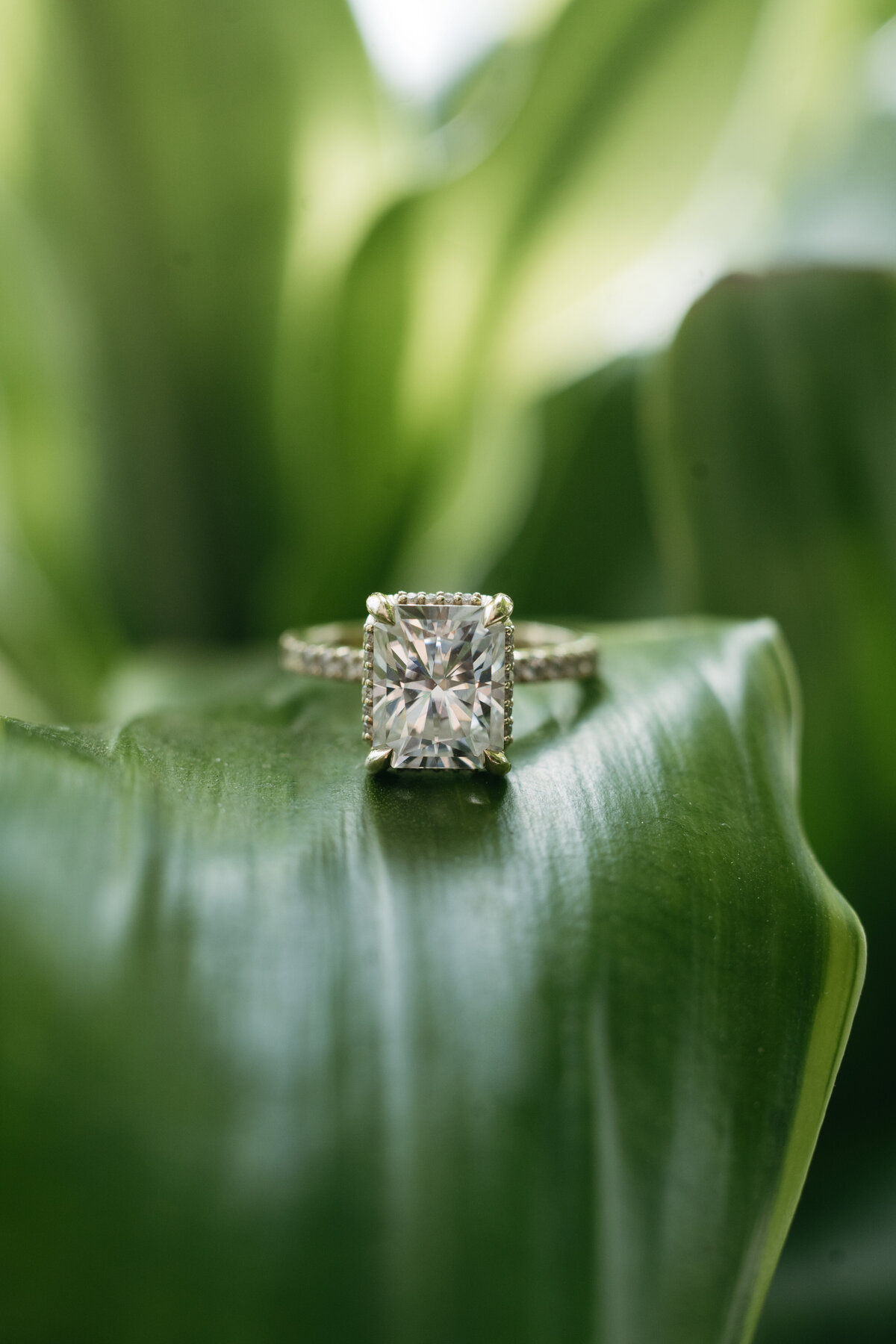 Collin&Delaney_BridalDetails_NikkiAnnettePhotography-19 copy