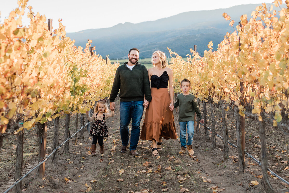 Monterey County wine country family photography in vineyard