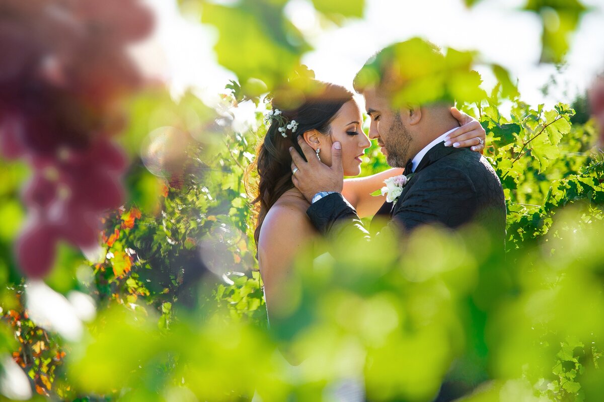 Wedding Photographer in London Ontario | One12 Photography67