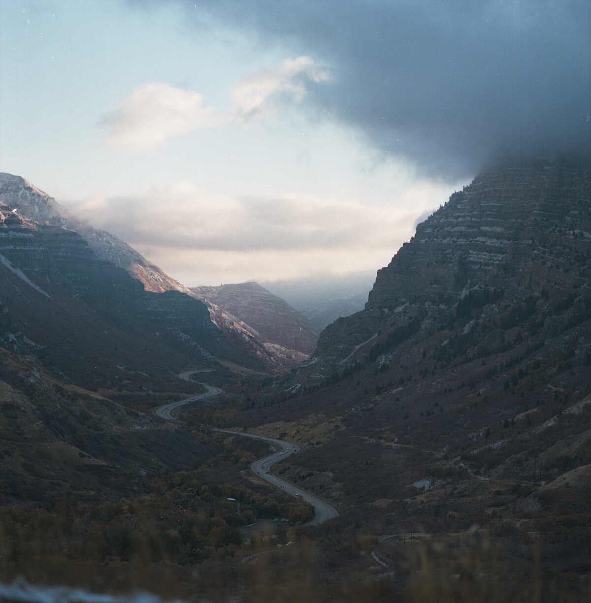 Film 2022-51