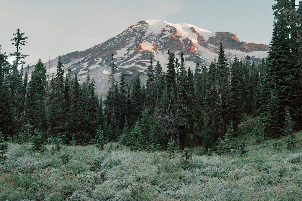 Mount-rainier-elopement-3