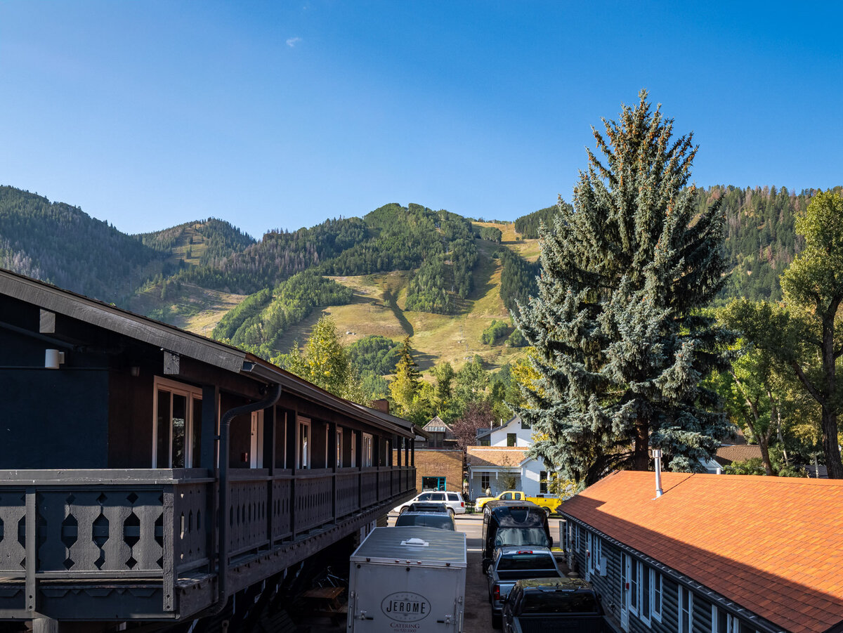 MLS - 227 E Bleeker Street - Aspen CO-19