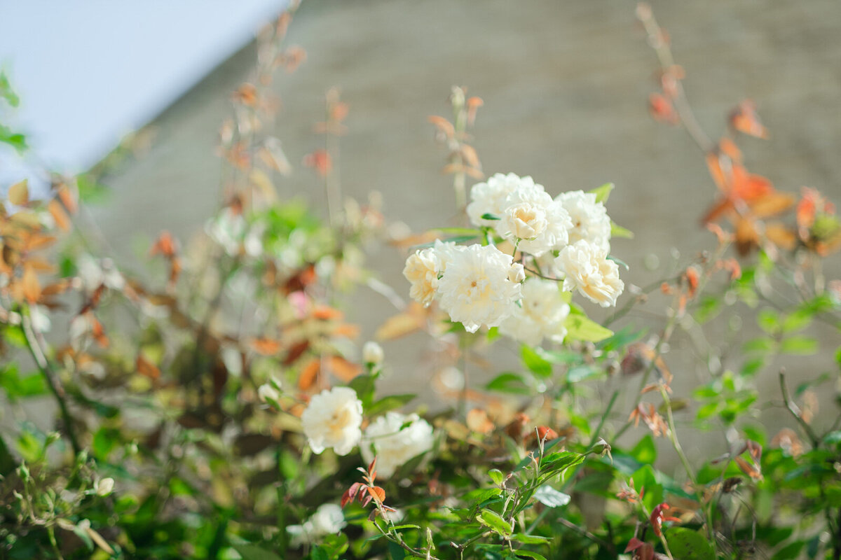 Elegant Wedding at Hinwick House, Northamptonshire - Destination Wedding Photography-2