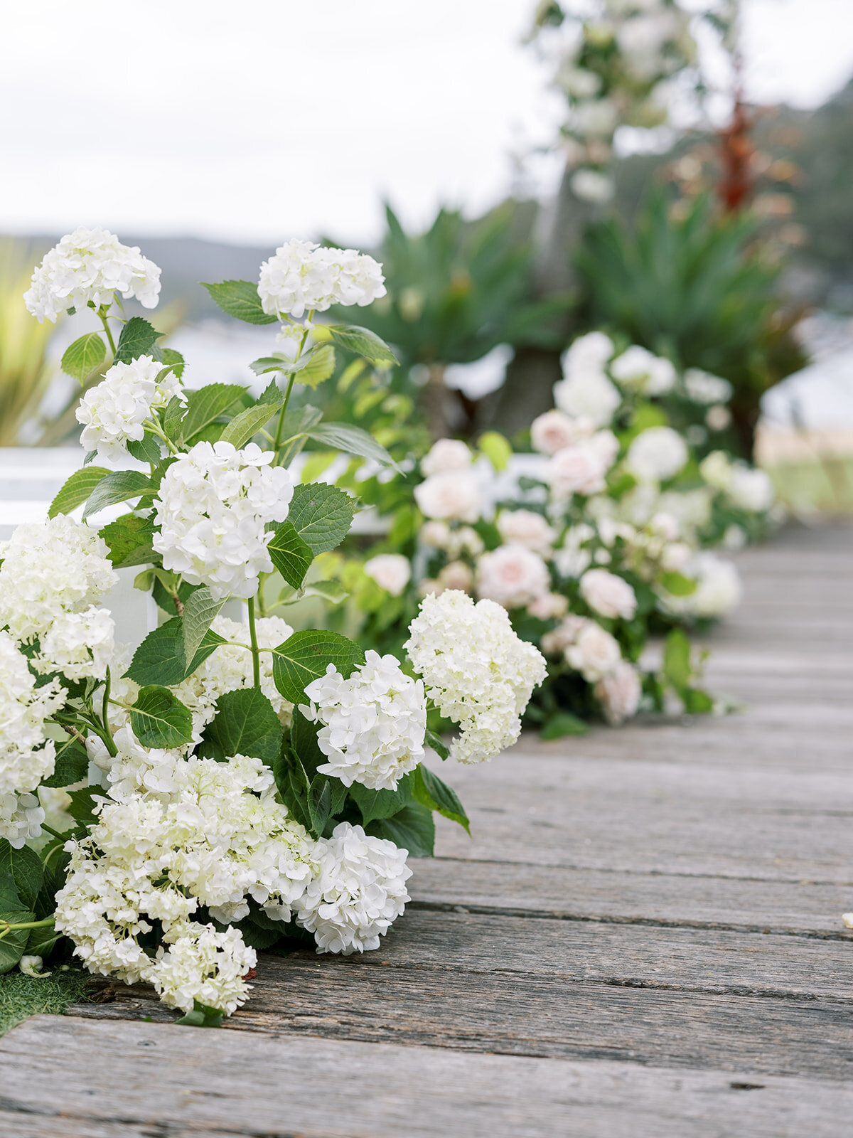 Pasadena sydney wedding venue Fine Art Film Destination Wedding Photographer Sheri McMahon-16