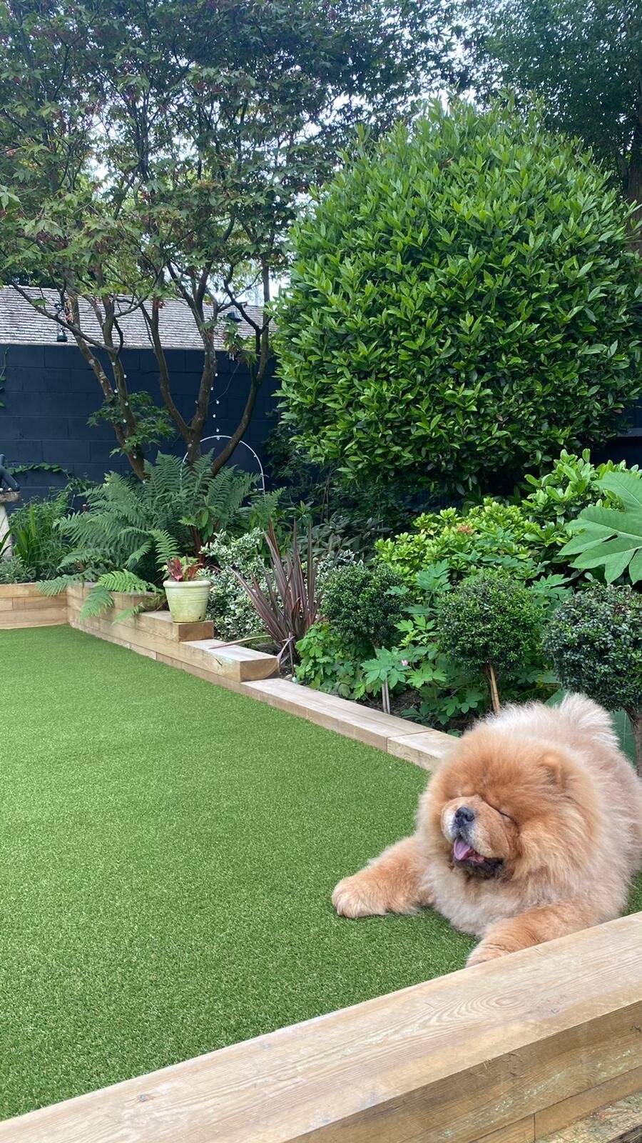 Artificial grass for dogs